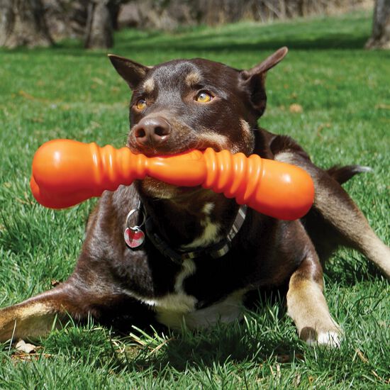 SqueakStix Wigglerz dog toy Image NaN