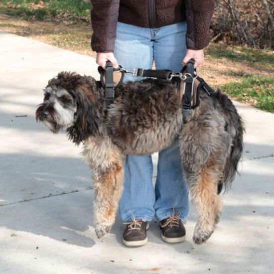 Dog lifting aid harness																															 Image NaN
