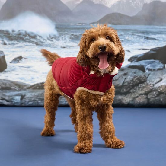 Manteau Elasto-fit&reg; Montagne froide pour chiens, Cerise givr&eacute;e Image NaN