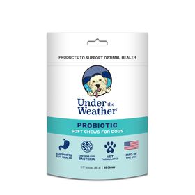 Probiotic soft chews for dogs