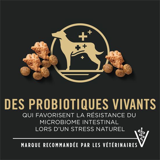 Specialized Shredded Blend Chicken and Rice Formula Dry Food for Small Breed Adult 7+ Dogs, 2.72 kg Image NaN