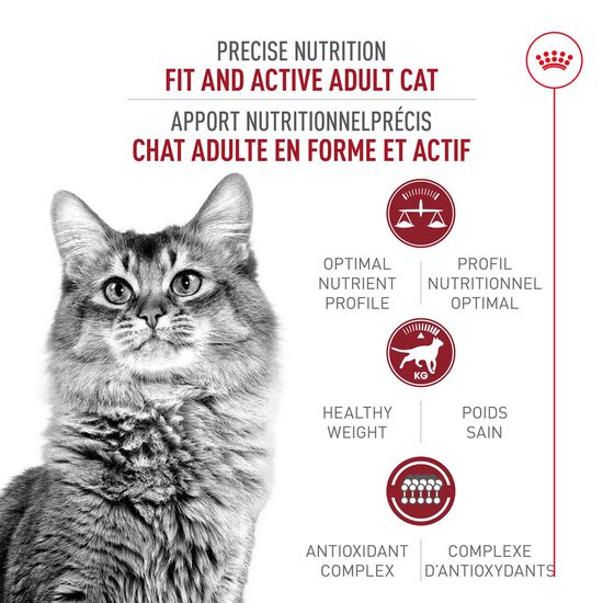 Nourriture pour chats adultes d'extérieur Image NaN