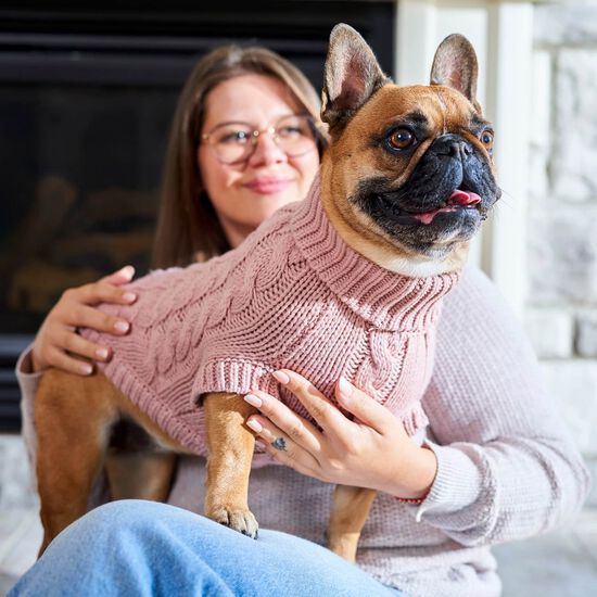 Pull Chalet pour chiens Image NaN
