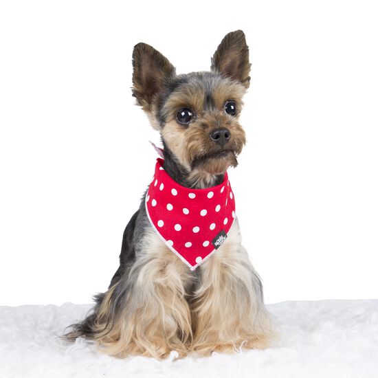 Bandana en coton pour chiens et chats Image NaN