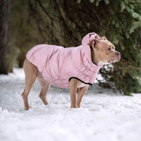 Elasto-Fit® Lunar Glow Parka for Dogs Image NaN