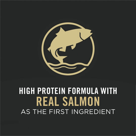 Nourriture sèche formule spécialisée « LiveClear » au saumon et riz pour chats, 1,59 kg Image NaN