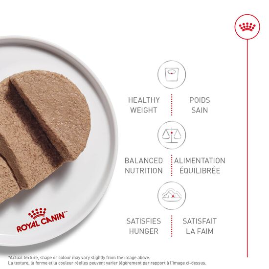 Weight Care Thin Slices In Gravy Canned Cat Food, 85 g Image 2.0