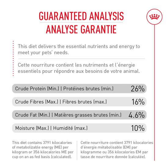 Canine Care Nutrition™ Large Digestive Care Dry Dog Food Image NaN