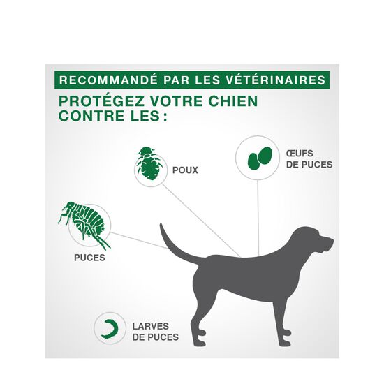 Protection topique puces et poux pour chiens 4,6-11kg, 4 un. Image NaN
