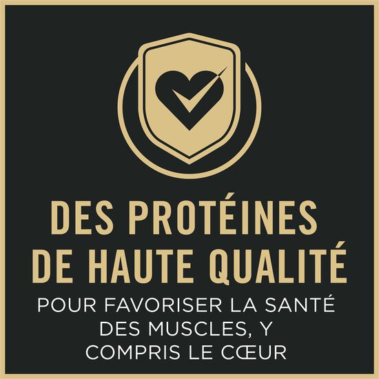 Specialized Shredded Blend Chicken and Rice Formula Dry Food for Small Breed Adult 7+ Dogs, 2.72 kg Image NaN