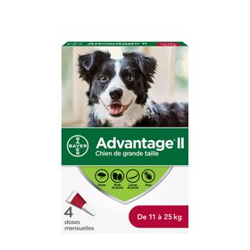 Topical flea & lice protection for dog 11-25kg, 4 pack