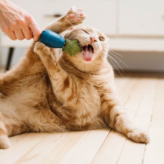 Jouet OBEE! Stuff pour chats Image NaN