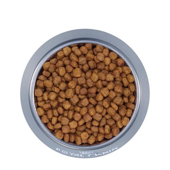 Feline Health Nutrition™ Indoor 7+ Dry Adult Cat Food Image NaN