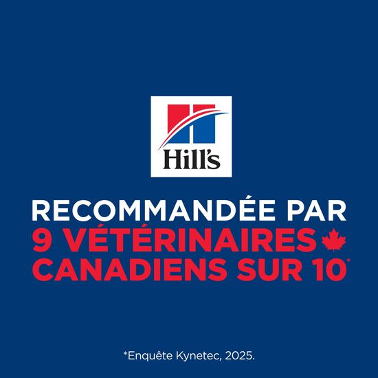 Entr&eacute;e de saumon et d&rsquo;orge pour chiens adultes Image NaN