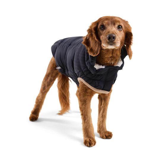 Manteau Elasto-fit&reg; Montagne froide pour chiens, Bleu marin Image NaN
