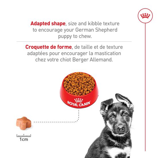 Nourriture s&egrave;che pour chiots de race Berger Allemand Image NaN