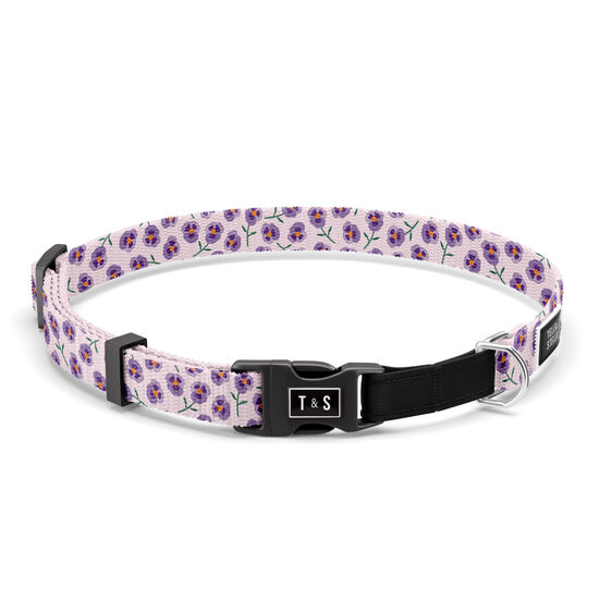 Violet Cat Collar Image NaN