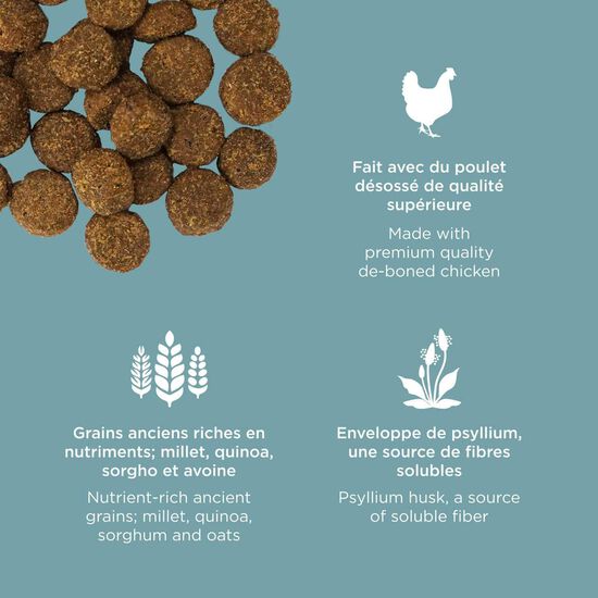 Nourriture sèche au poulet avec grains Digestion + Gut Health pour chiens Image NaN
