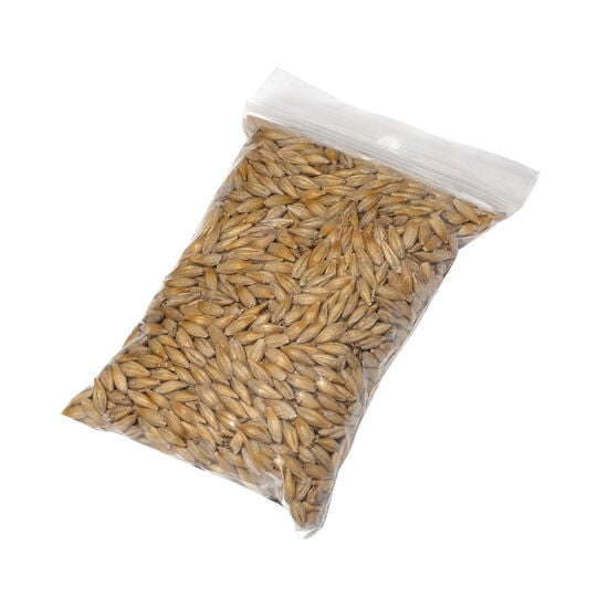 Cat grass seeds Image NaN