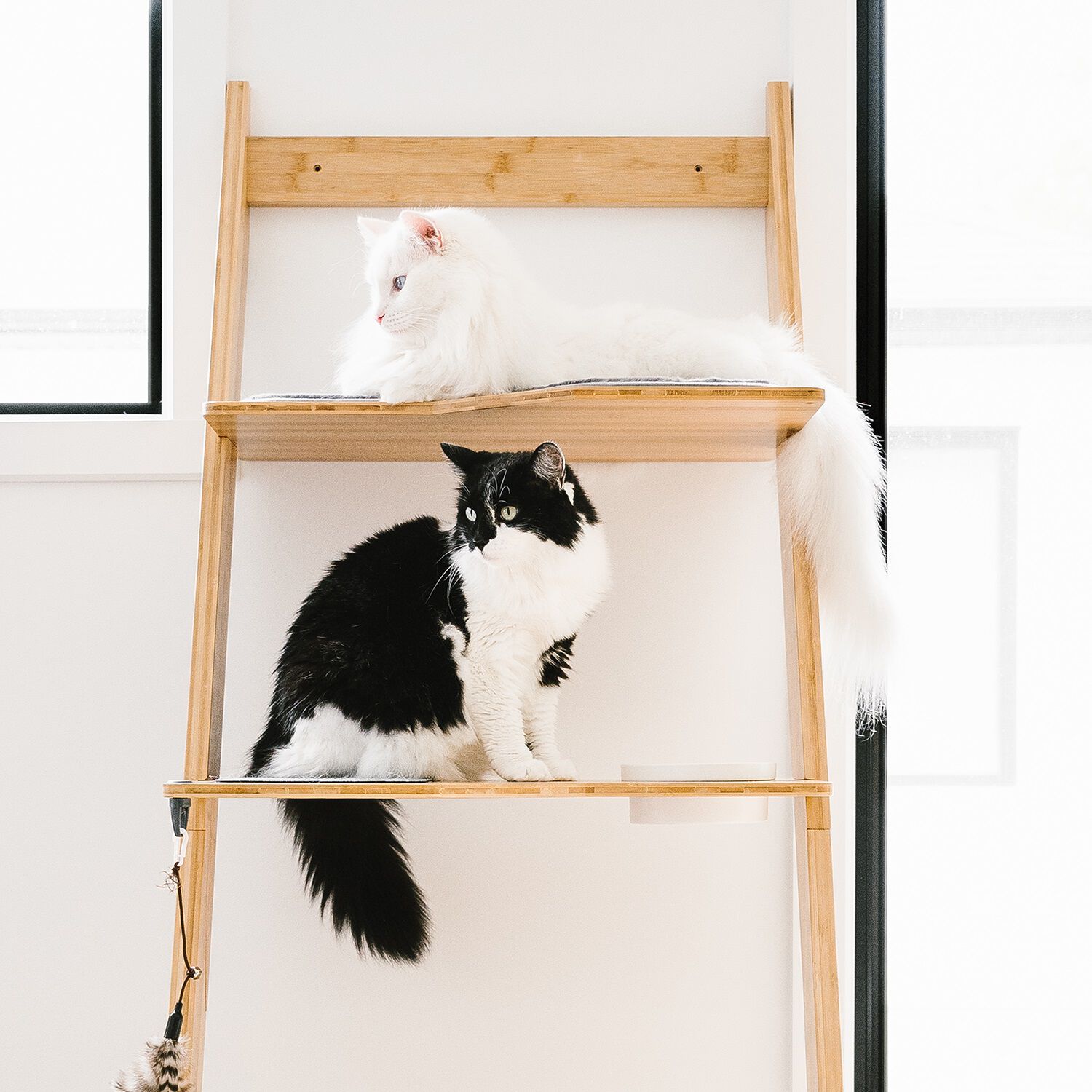 Arbre à chat échelle en bambou — free download