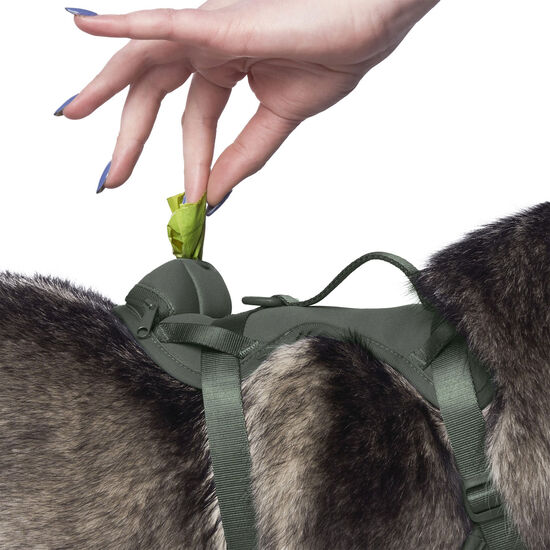 Harnais en néoprène avec distributeur de sacs pour chiens Image NaN
