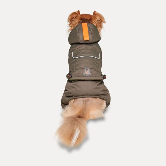 Hooded Full Body Snowsuit for Dogs Image NaN