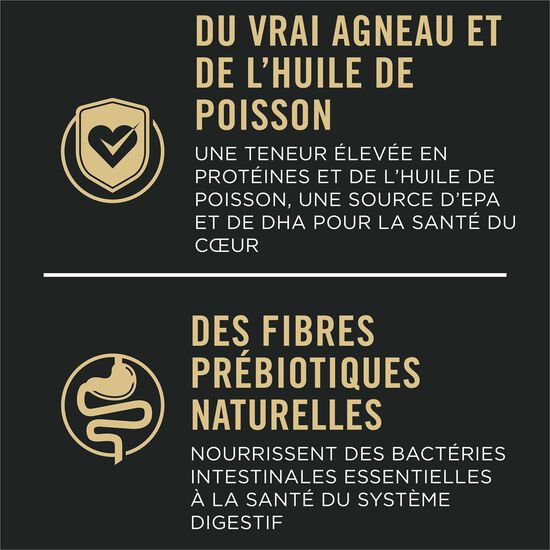 Nourriture sèche développement peaux et estomacs sensibles à l'agneau et riz pour chiots, 10,9 kg Image NaN