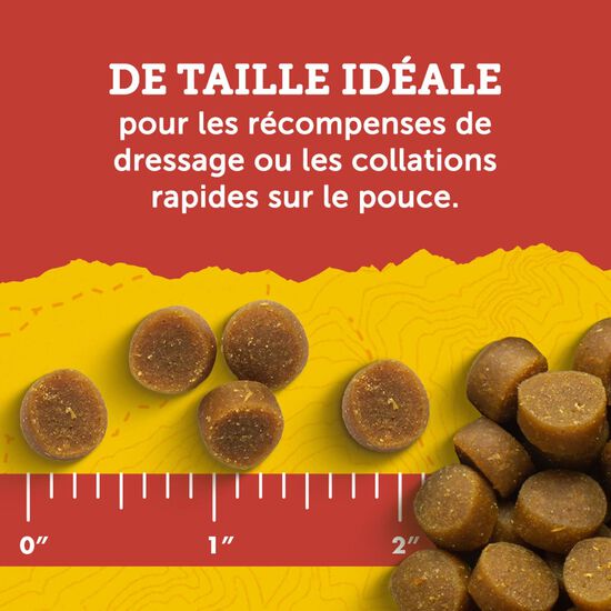 Mini Naturals Peanut Butter and Oats Tender Bites Treats for Dogs, 170 g Image NaN