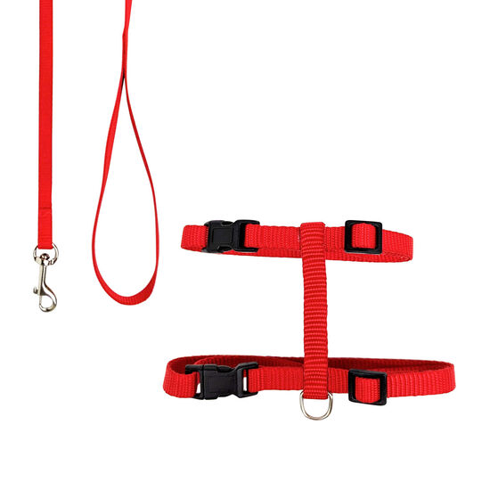 Ensemble harnais et laisse pour chats Image NaN