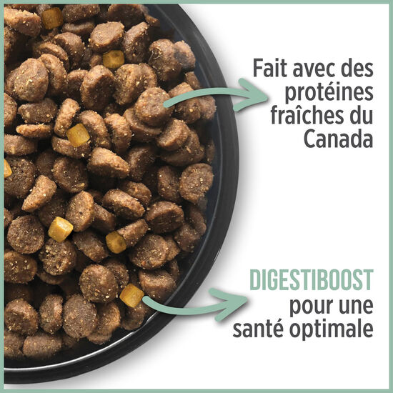 Formule contrôle des boules de poils pour chats Image NaN