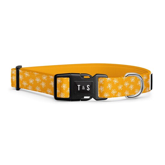 Collier r&eacute;glable pour chiens Image NaN