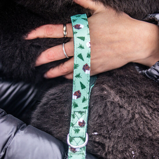 Laisse pour chien « Chalet d'hiver », P Image NaN