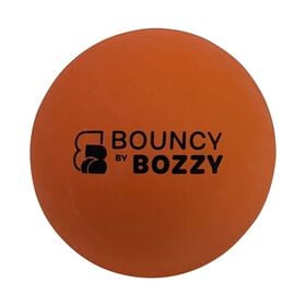 Bouncy Ball for Dogs