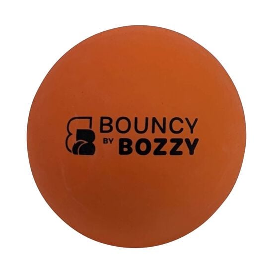 Bouncy Ball for Dogs Image NaN