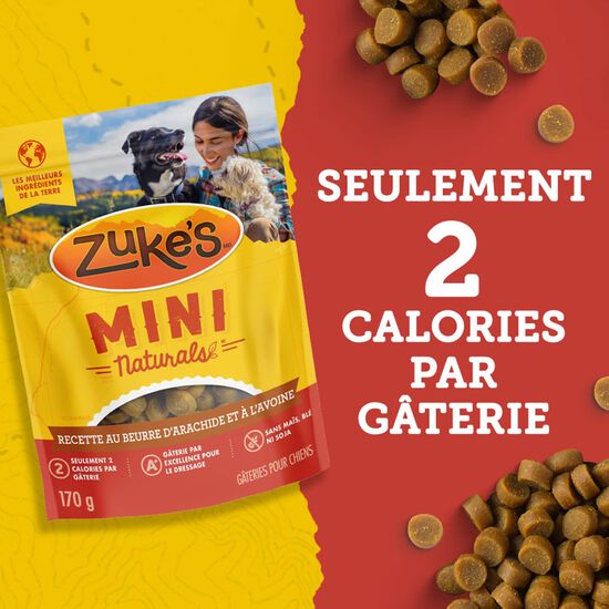 Mini Naturals Peanut Butter and Oats Tender Bites Treats for Dogs, 170 g Image NaN