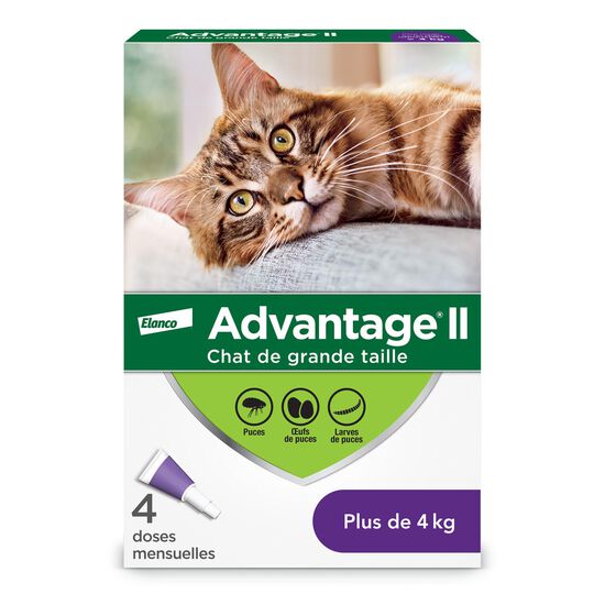Topical flea protection for cat 4+ kg, 4 pack Image NaN