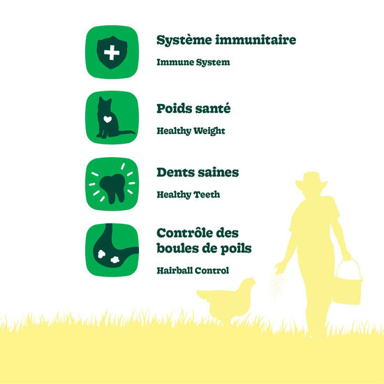 Nourriture sèche recette au poulet pour chats adultes, 10 kg Image NaN