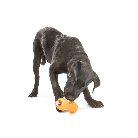 Orange "Qwizl" toy to insert treat sticks Image NaN