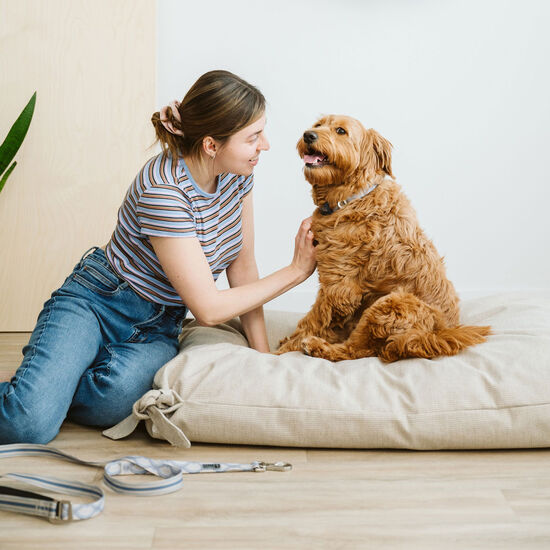 Collier en silicone pour chiens, Carreaux Positano Image NaN