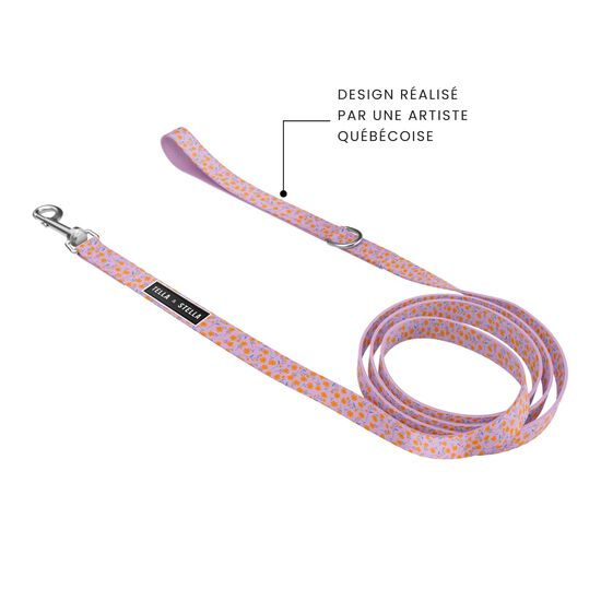 Laisse pour chiens, moyen Image NaN