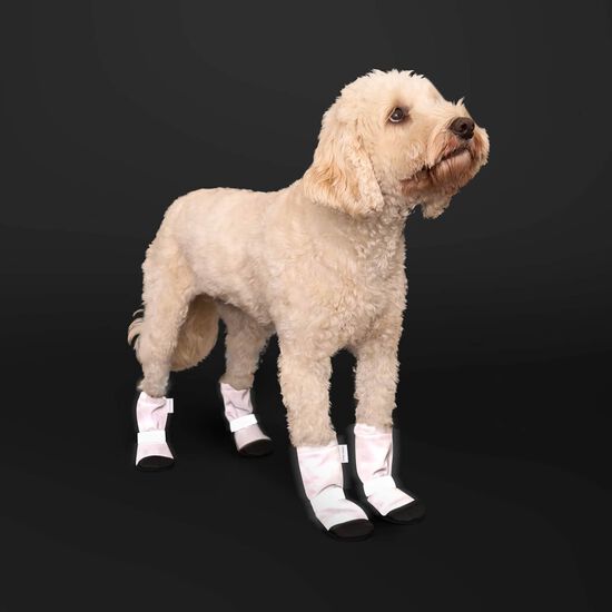 Soft Shield Reflective Dog Boots Image NaN