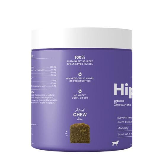 Hip and Joint Supplement Chews for Dogs Image NaN