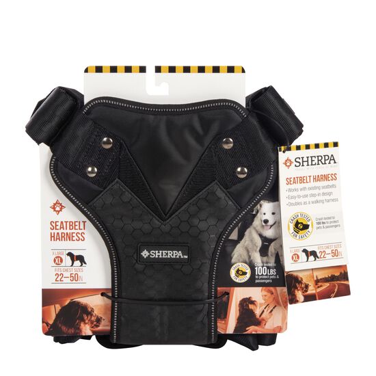 Harnais de ceinture de sécurité, noir Image NaN