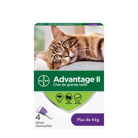Topical flea protection for cat 4+ kg, 4 pack
