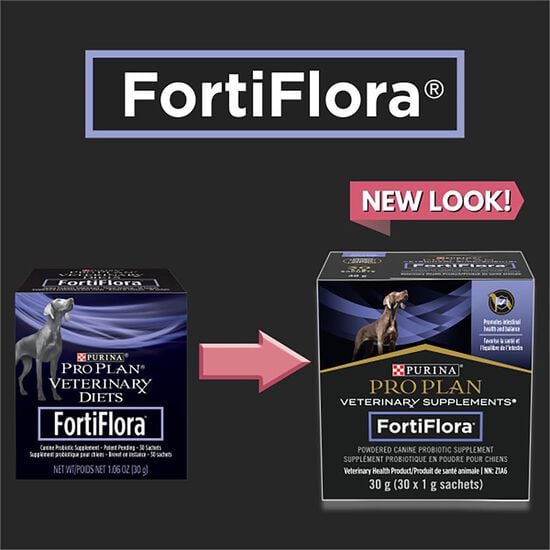 Supplément probiotique en poudre FortiFlora pour chiens, 30 g Image NaN