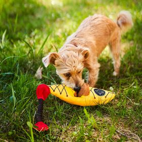 Kayak Plush Toy for Dogs