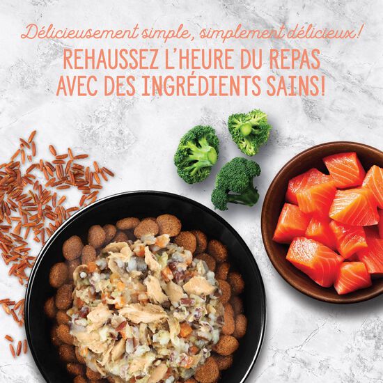 Garniture Style maison bol de saumon et riz rouge pour chiens, 152 g Image NaN