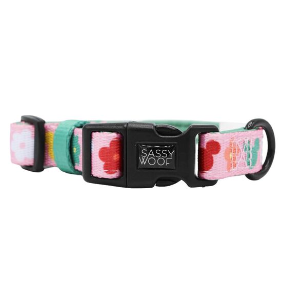 Ensemble de promenade Disney's Rainbow Frenzy pour chiens Image NaN