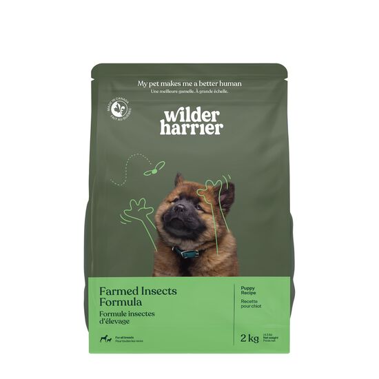 Dry puppy food, farmed insects recipe Image NaN