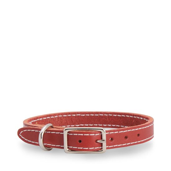 Red stitched leather collar Image NaN
